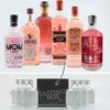 Gin Tasting Set: Pink Gin 6x0,02l -Alkohol Rabatte 308326 Product 617c