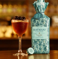 Haymans Old Tom Gin 41,4% 0,7l -Alkohol Rabatte 60035 haymans old tom gin 41 4 0 7l mood 1 0f51