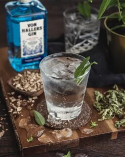 Von Hallers Gin 44% 0,5l -Alkohol Rabatte 61096 von hallers gin 0 5l 44 mood 4 9311