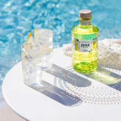 June By G Vine Gin Pear & Cardamon 37,5% 0,7l 7 June By G Vine Gin Pear & Cardamon 37,5% 0,7l -Alkohol Rabatte 61170 june by g vine gin pear cardamon 37 5 0 7l mood 1 b79b
