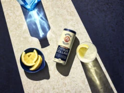 Bombay Citrus Collins 10% 12x0,25l Dose -Alkohol Rabatte f23 global bombay rtdcollins g t 002 lnp