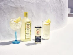 Bombay Citrus Collins 10% 12x0,25l Dose -Alkohol Rabatte f23 global bombay rtdcollins presse g t lnp